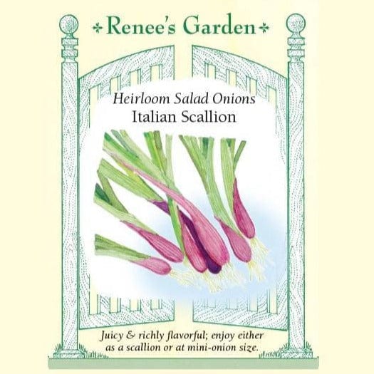 Onion Italian Scallion - Renee's Garden Seeds