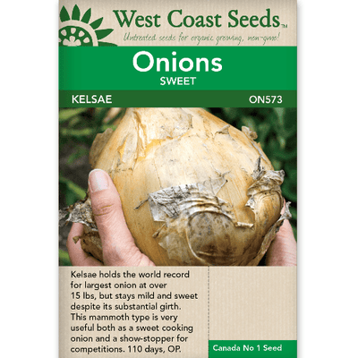 Onion Kelsae - West Coast Seeds