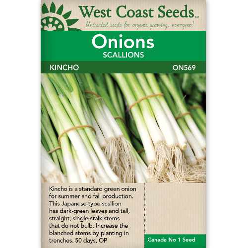 Onion Kincho - West Coast Seeds