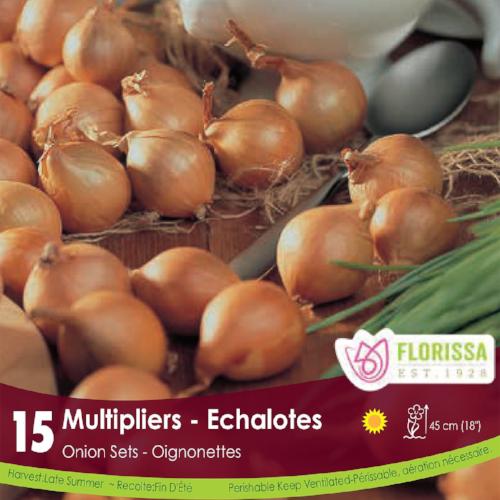 Onion Multipliers