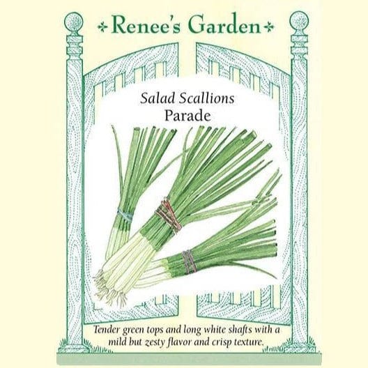 Onion Parade Scallions - Renee's Garden Seeds