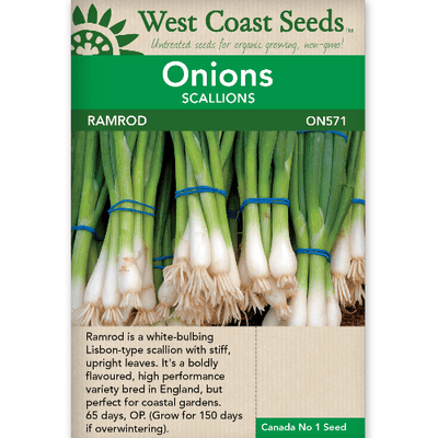 Onion Ramrod - West Coast Seeds