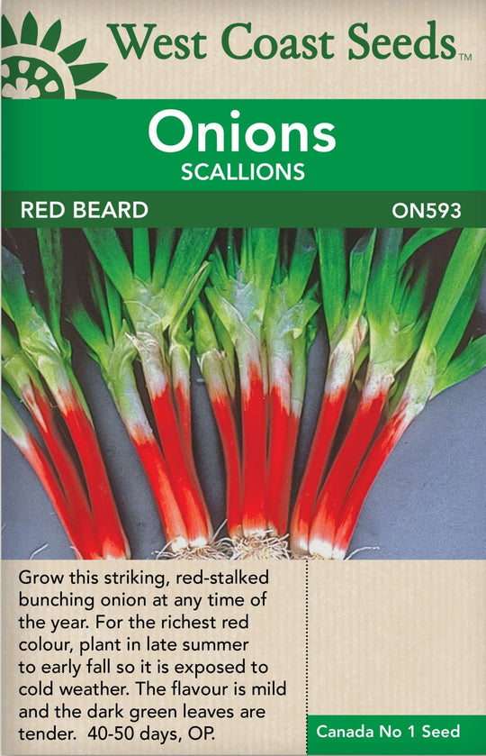 Onion Red Beard - West Coast Seeds