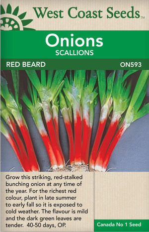 Onion Red Beard - West Coast Seeds