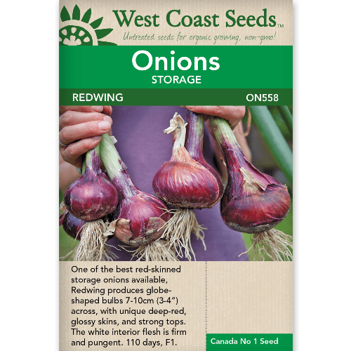 Onion Redwing - West Coast Seeds