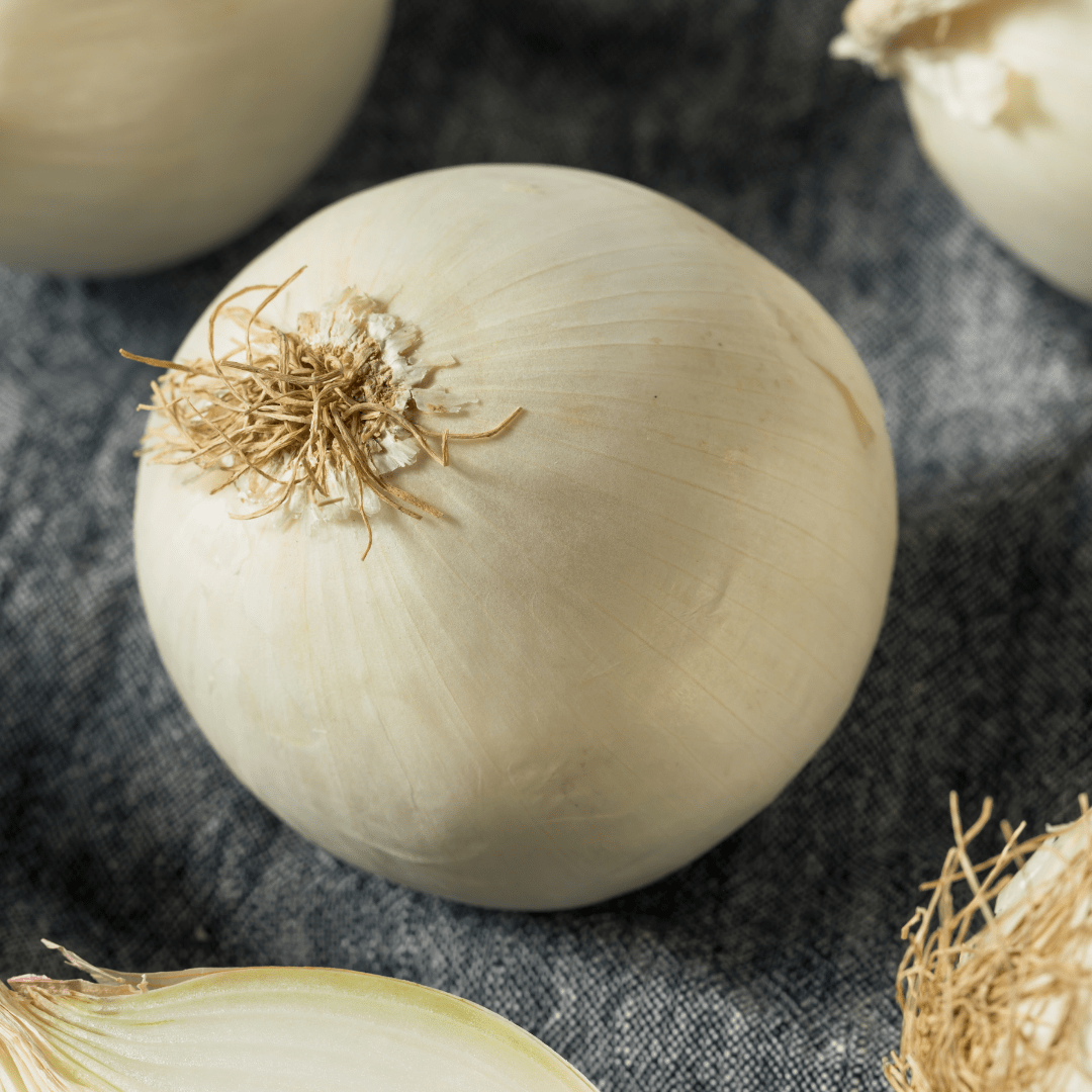 Onion Sweet Spanish White - Ontario Seed Company