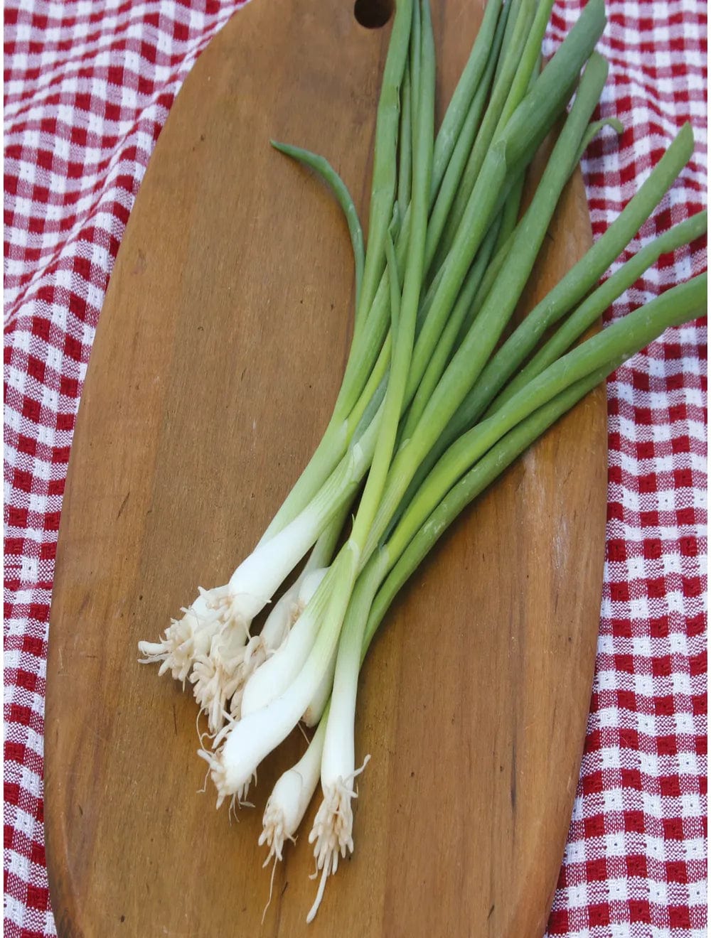 Onion Tokyo Long White - Burpee Seeds