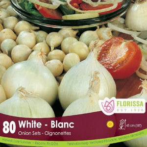White Onion Spring Bulb