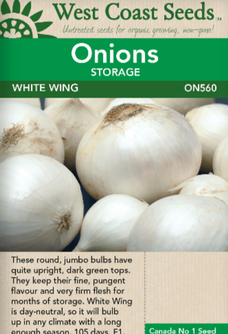 Onion White Wing - West Coast Seeds