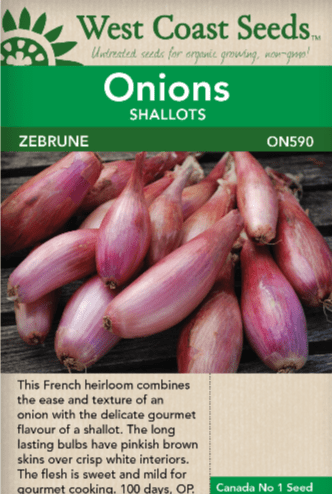 Onion Zebrune Shallots - West Coast Seeds
