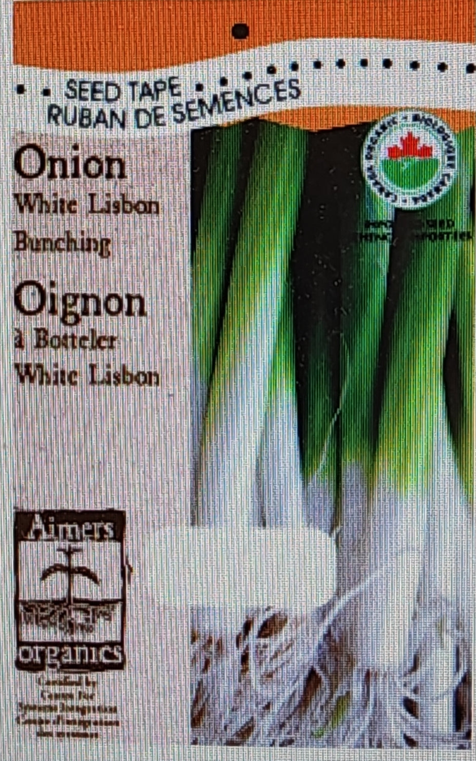 Organic Onion White Lisbon - Aimers Seed Tape