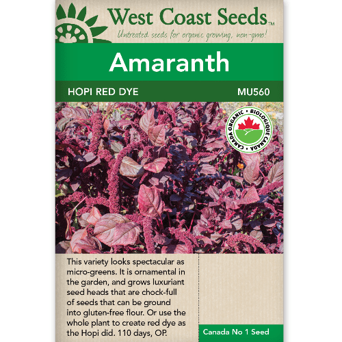 Amaranth Hopi Red Dye Organic - West Coast Seeds