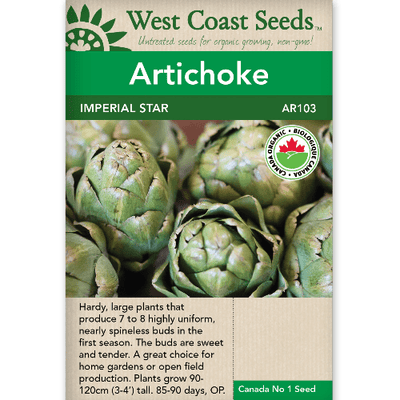 Artichoke Imperial Star Organic - West Coast Seeds