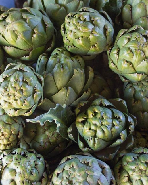 Organic Artichoke Imperial Star - West Coast Seeds