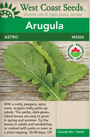 Organic Arugula Astro - West Coast Seeds