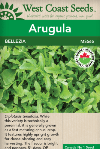 Arugula Bellezia Organic - West Coast Seeds