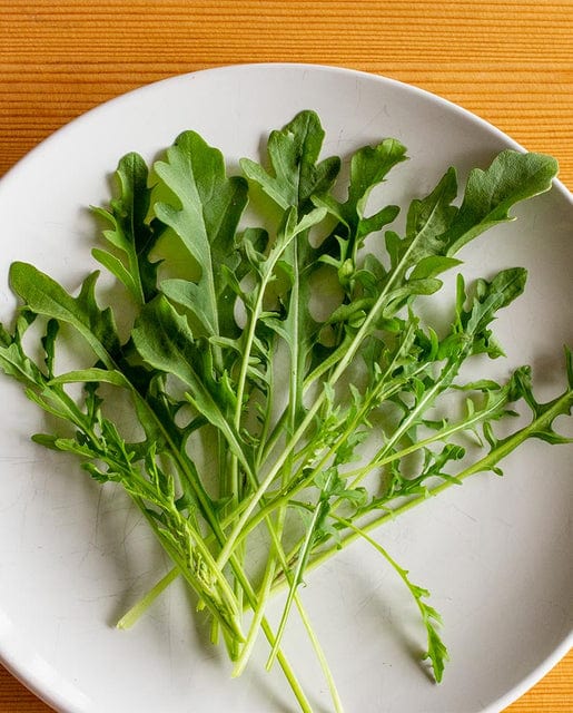 Organic Arugula Bellezia - West Coast Seeds