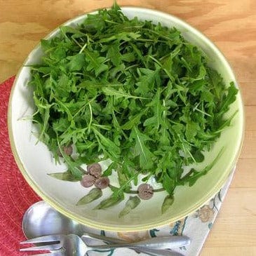 Organic Arugula Rustic Style - Renee's Garden Seeds