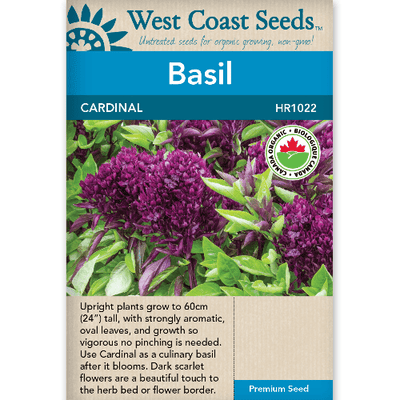 Basil Cardinal - West Coast Seeds