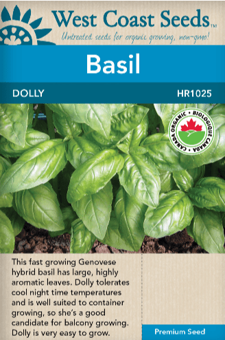 Basil Dolly Organic - West Coast Seeds