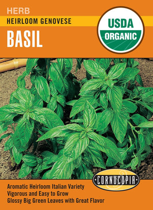 Organic Basil Genovese - Cornucopia Seeds