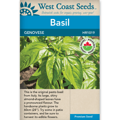 Basil Genovese Organic - West Coast Seeds