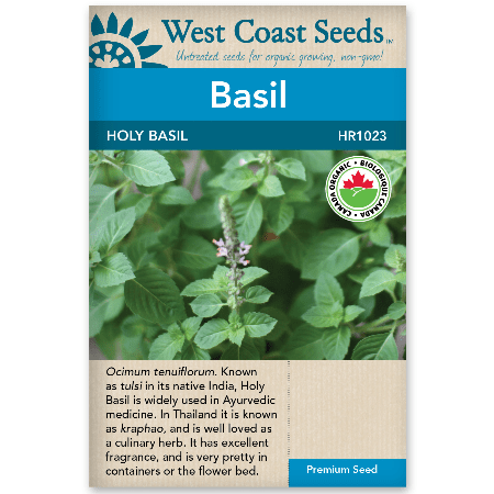 Basil Holy Organic - West Coast Seeds