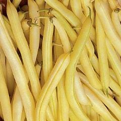 Bean Golden Wax Improve - Burpee Seeds