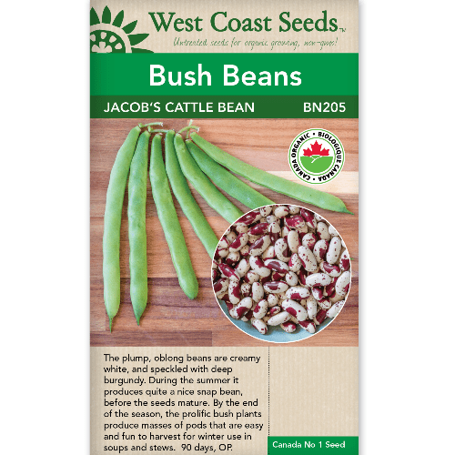 Bean Jacob's Cattle Organic - West Coast Seeds