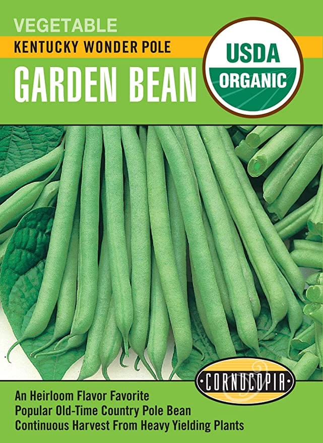 Organic Bean Kentucky Wonder - Cornucopia Seeds