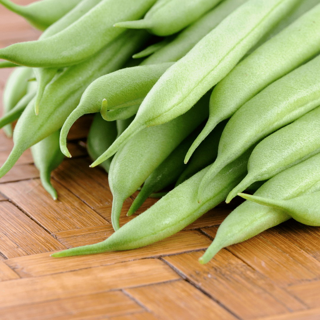 Organic Bean Maxi Bush - Mr. Fothergill's