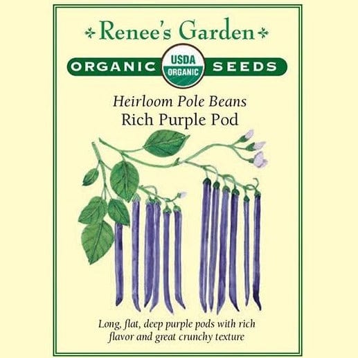 Bean Purple Pod - Renee's Garden Seeds