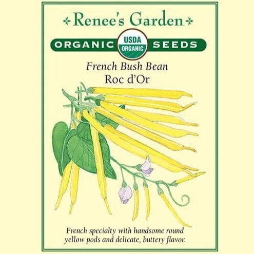 Bean Roc D'Or French - Renee's Garden Seeds