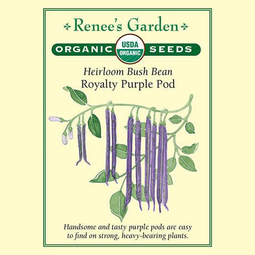 Bush Beans Royalty Purple - Renee's Garden 