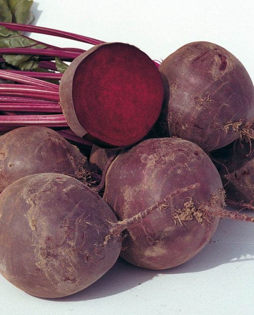 Organic Beet Boro - West Coast Seeds