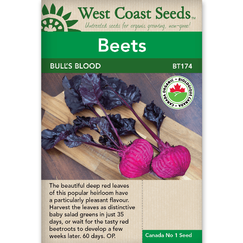Beets Bull's Blood Organic - West Coast Seeds