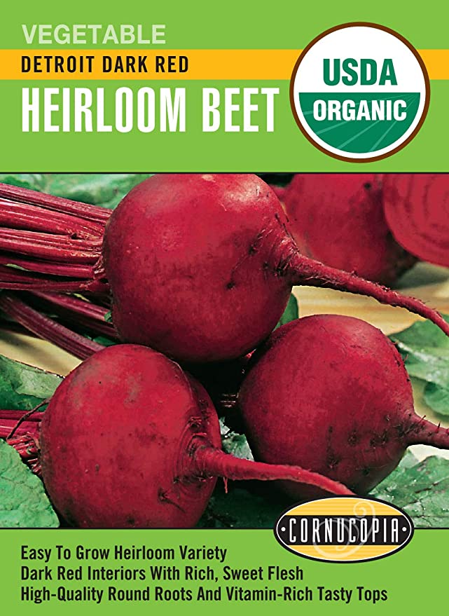 Organic Beet Detroit Dark Red - Cornucopia Seeds