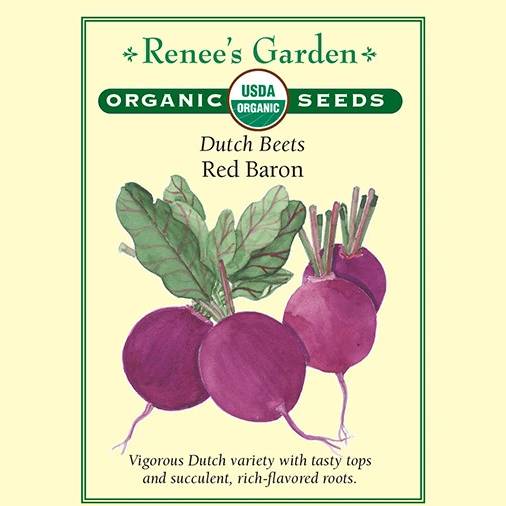 Beets Red Baron - Renee's Garden