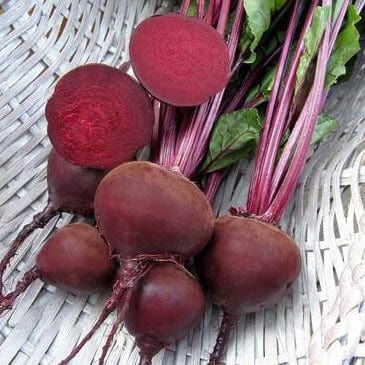 Beets Red Baron - Renee's Garden