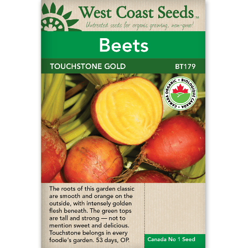 Beets Touchstone Gold Organic - West Coast Seeds