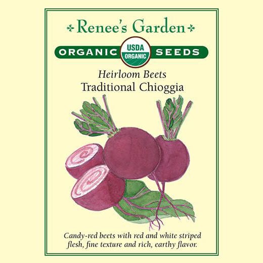 Beets Traditional Chioggia - Renee's Garden