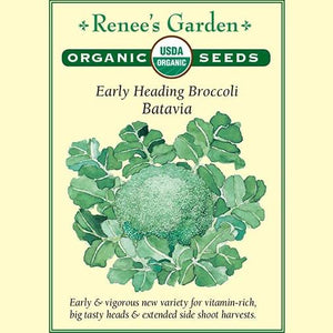 Broccoli Batavia - Renee's Garden