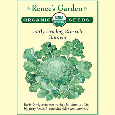 Broccoli Batavia - Renee's Garden