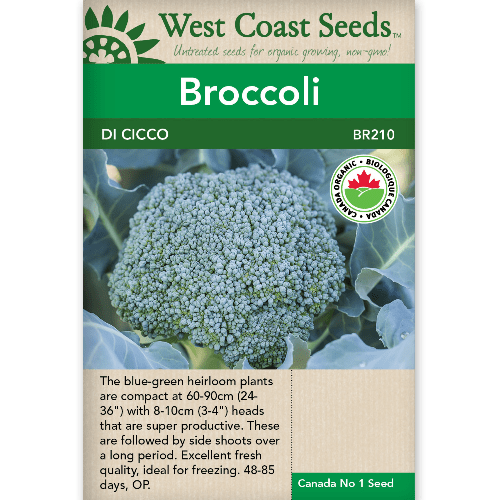 Broccoli Di Cicco Organic - West Coast Seeds