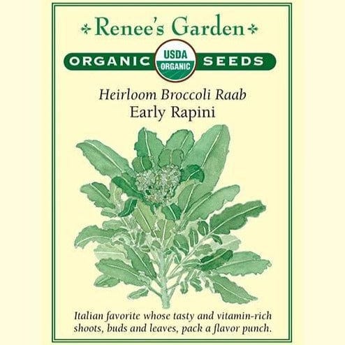 Broccoli Raab Early Rapini - Renee's Garden Seeds