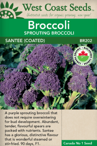 Broccoli Santee Coated - West Coast Seeds Ltd