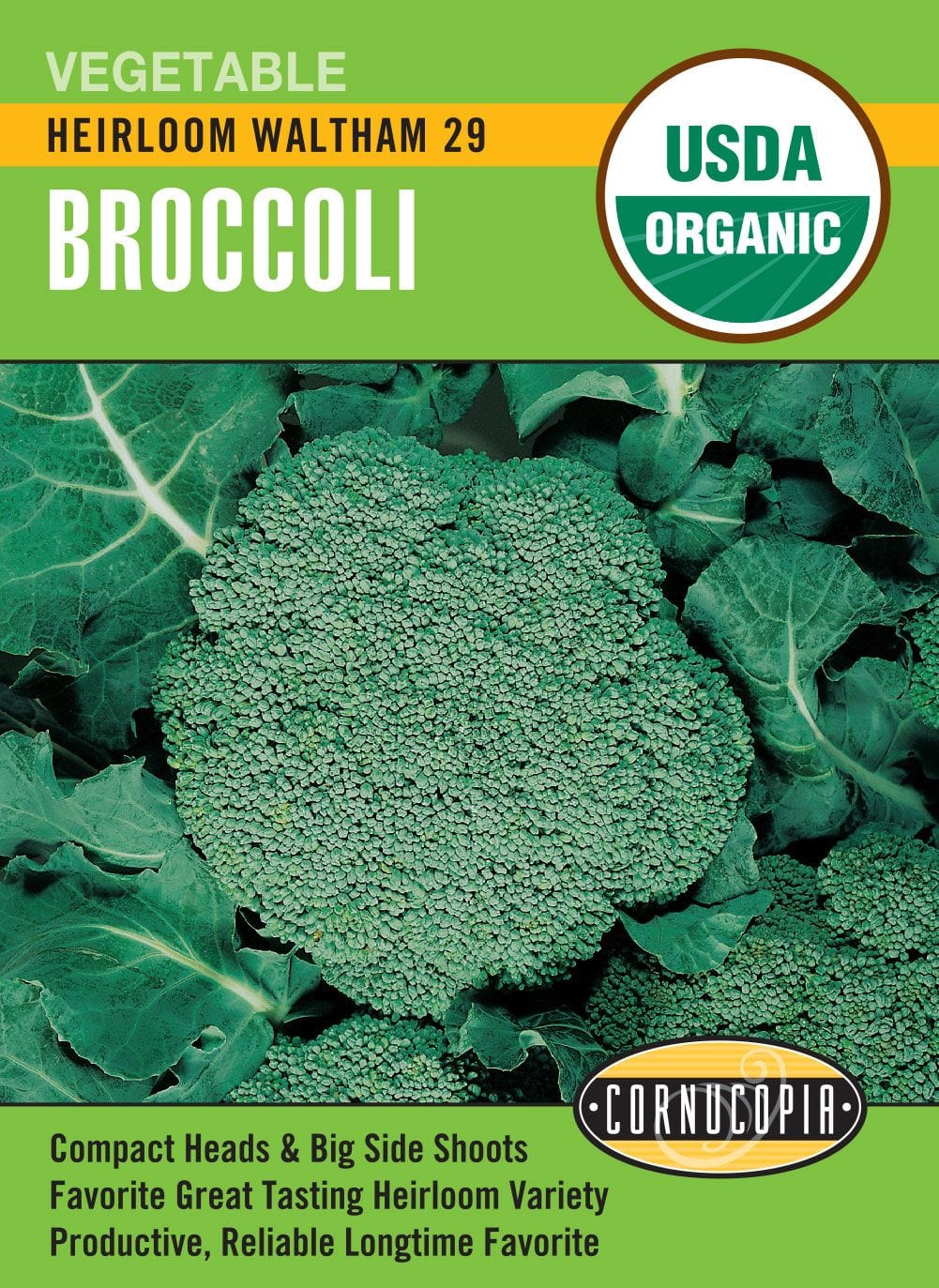 Organic Broccoli Waltham 29 - Cornucopia Seeds