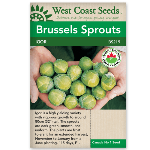 Brussels Sprouts Igor - West Coast Seeds