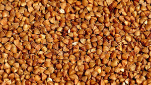 Organic Buckwheat - Metchosin Farm Seeds