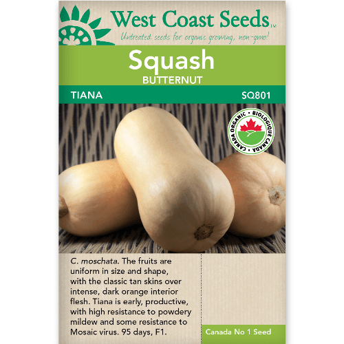 Butternut Squash Tiana Organic - West Coast Seeds